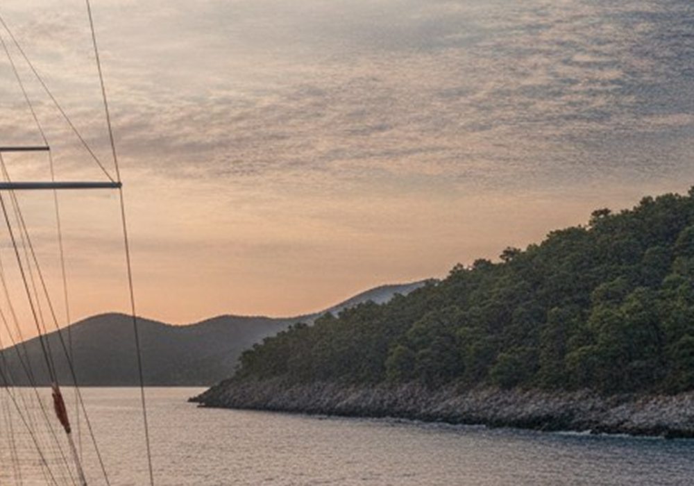 Ege kıyısında çam ormanlı koy ve sakin deniz
